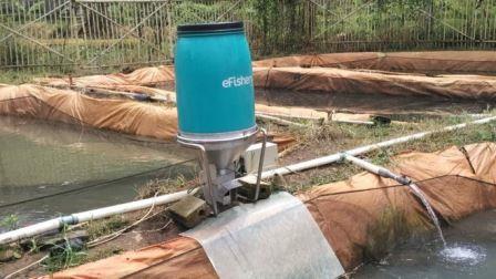 Pemberi pakan ikan otomatis buatan Indonesia diperkenalkan ke Asia namanya 